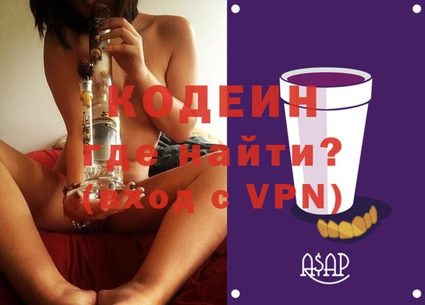 дурь Инта