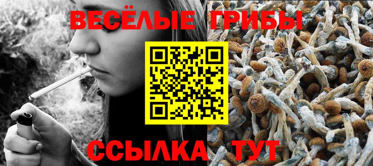 Россия  сколько стоит  Вход с VPN  Галлюциногенные грибы мицелий 