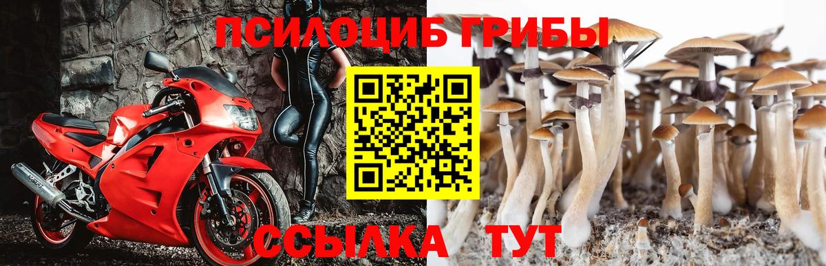 МЕФ  Вход с VPN  Molly  Мефедрон  ГАШИШ  Каннабис  НБОМе  Марки ЛСД  Россия  Альфа-ПВП 