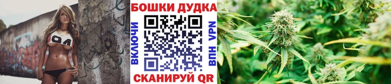 Бошки Шишки гибрид  KRAKEN tor  Астрахань 